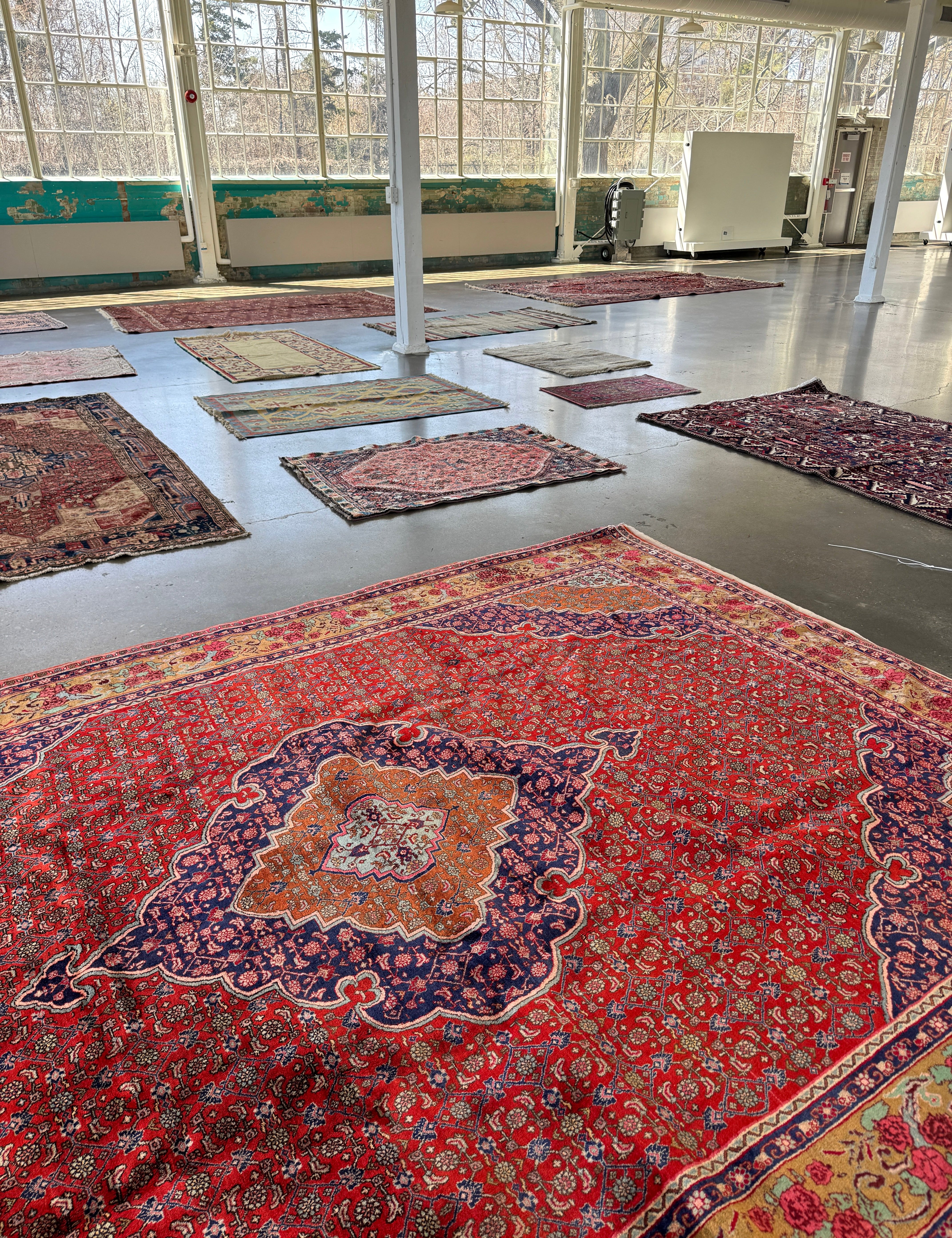 Persian Bidjar Rug | 8' 7" x 11' 10" Rug the Rock
