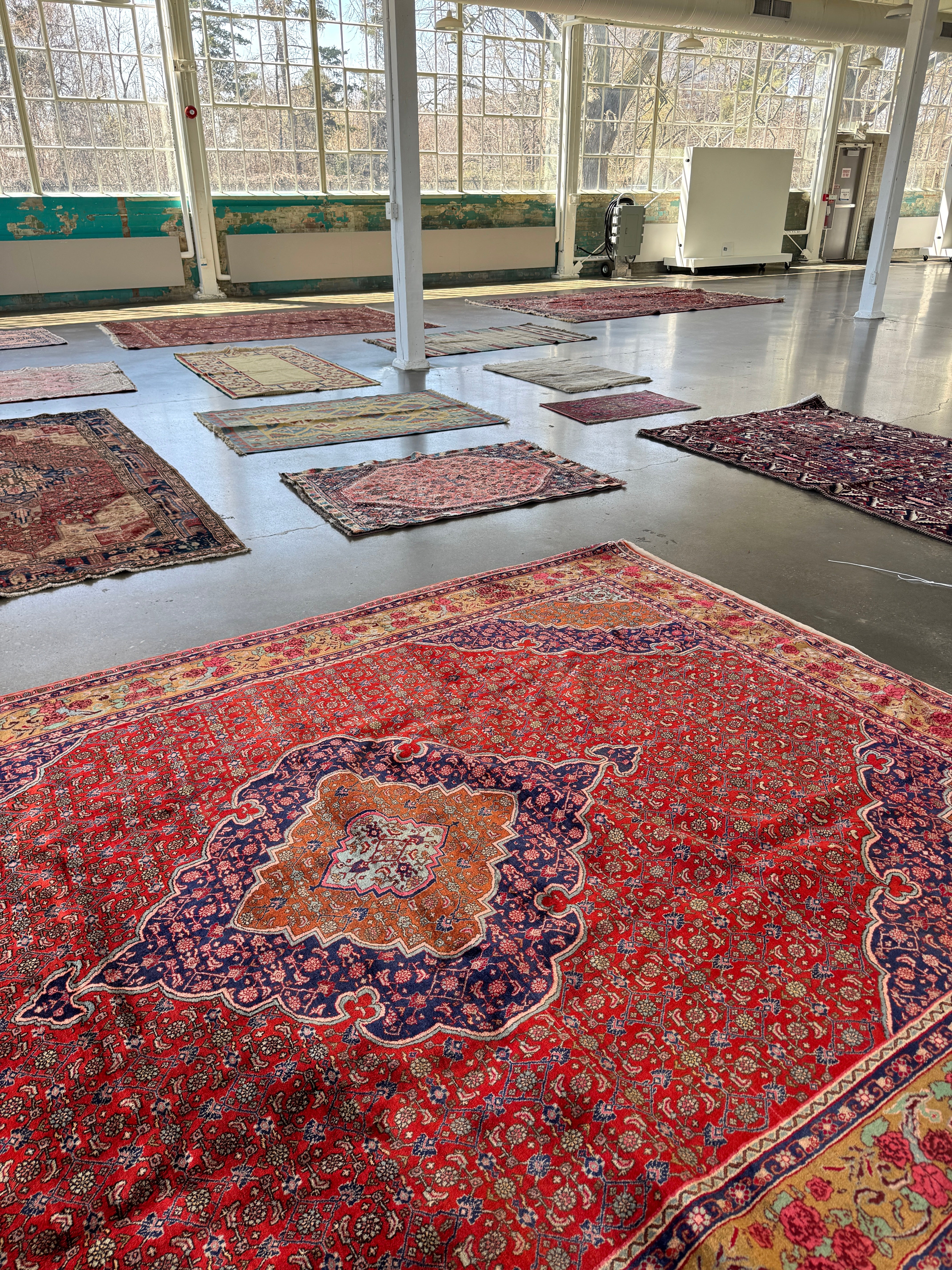 Persian Bidjar Rug | 8' 7" x 11' 10" Rug the Rock