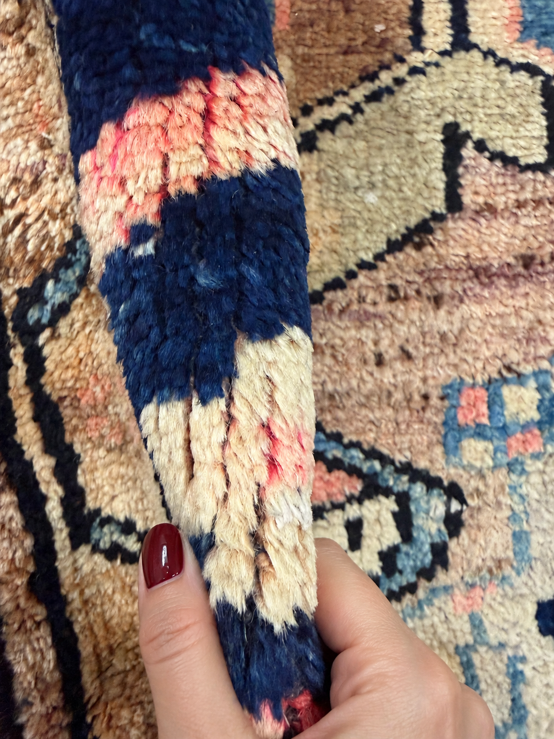 Persian Mianeh Rug. Original rug photograph; SKU PP105782; source IMG_7010.