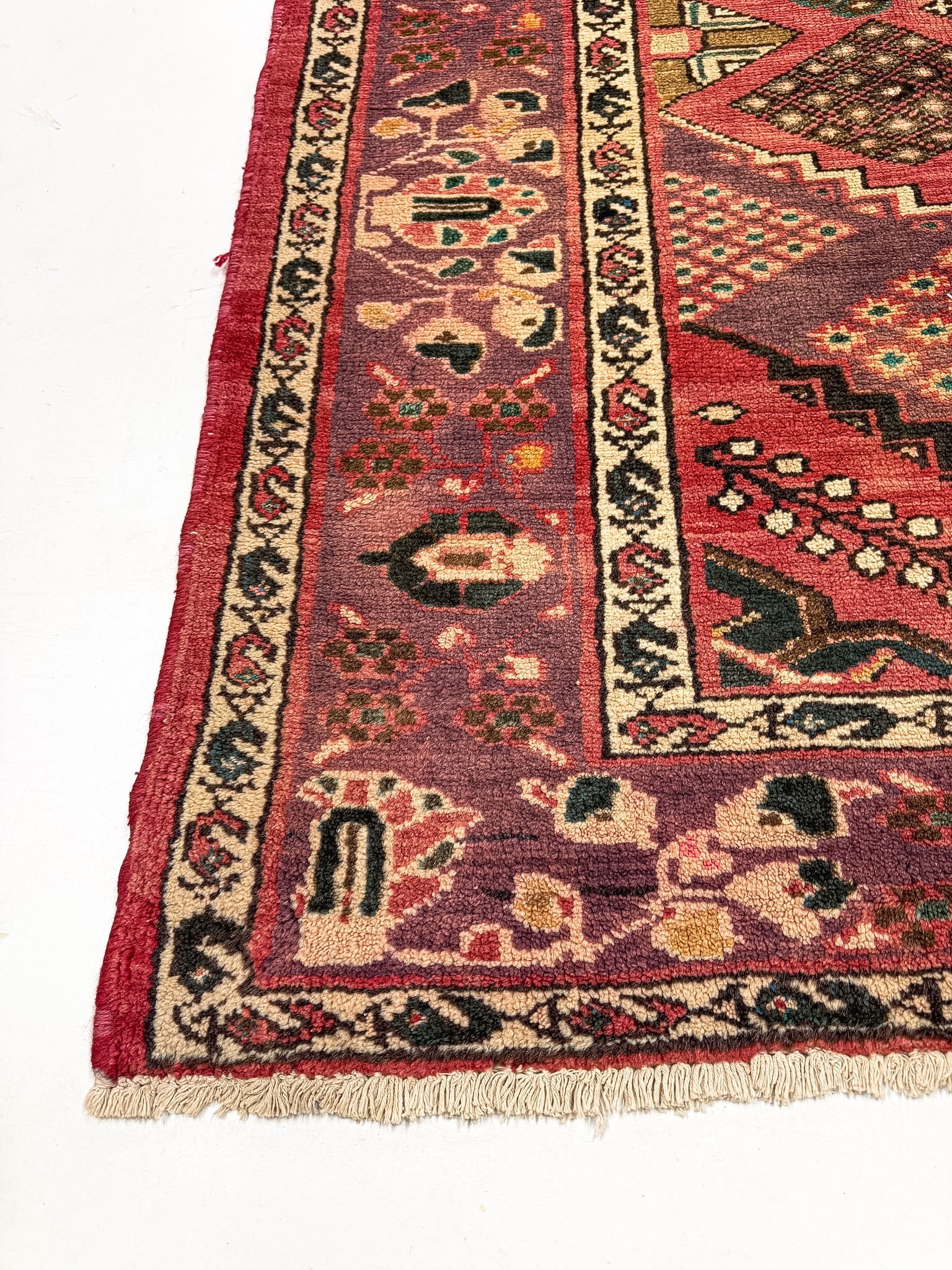 Persian Joshaqan Rug | 6' 6" x 10' Rug the Rock