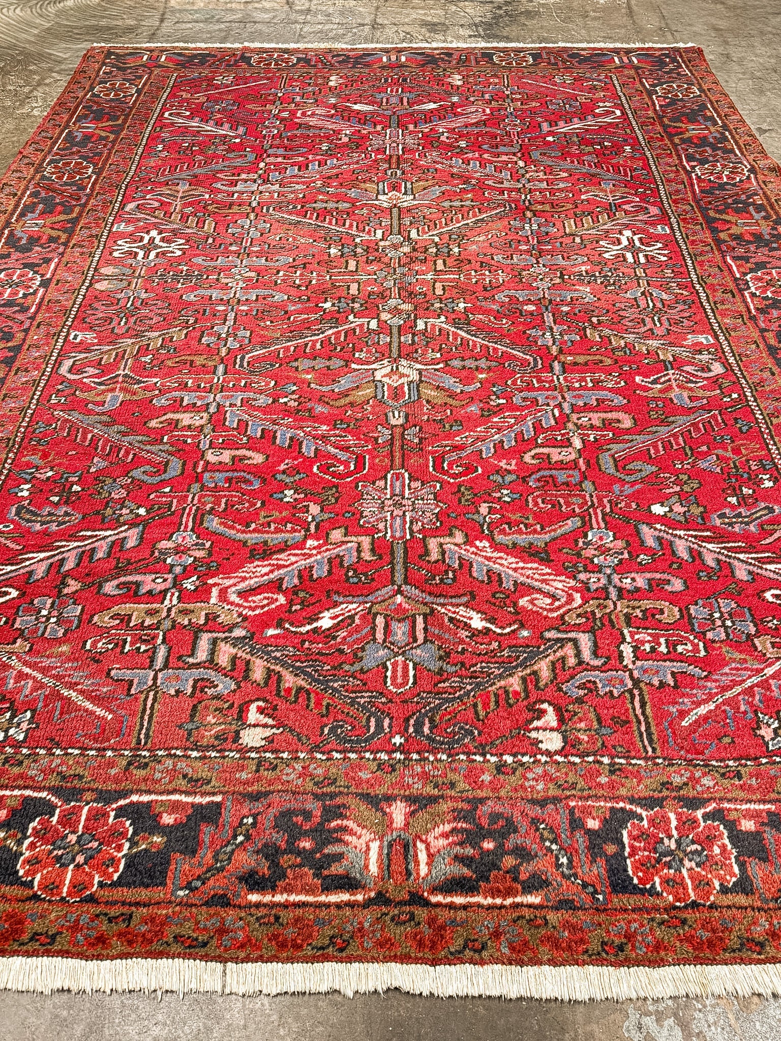 Persian Heriz Rug | 8' x 8' 11" Rug the Rock