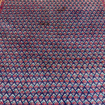 Vintage Sarabend Rug — Fine Allover Pattern with Red Borders. Original rug photograph; SKU RR30661; source RR 30661 IMG_6970.