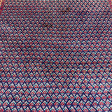 Vintage Sarabend Rug — Fine Allover Pattern with Red Borders. Original rug photograph; SKU RR30661; source RR 30661 IMG_6970.