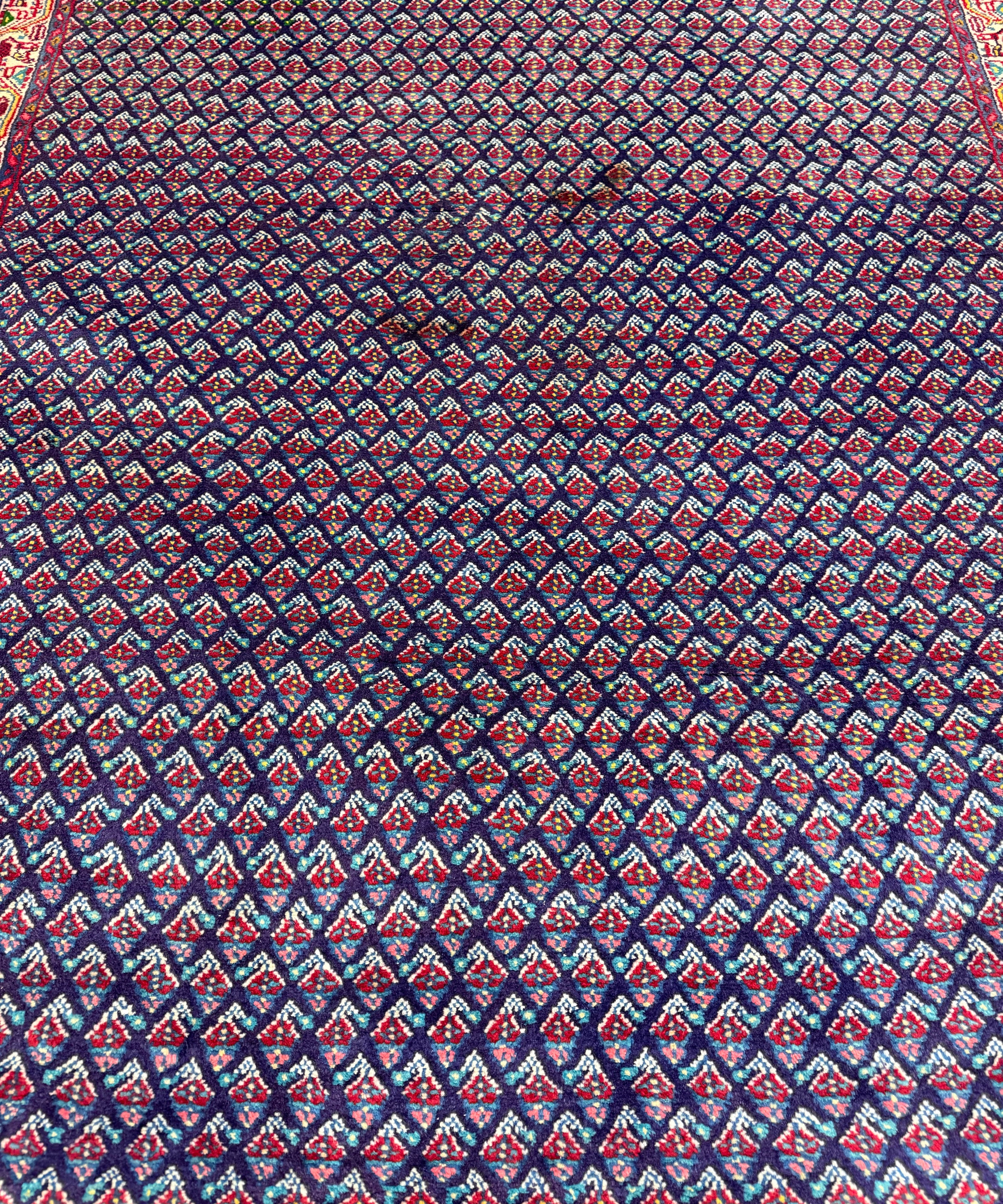 Vintage Sarabend Rug — Fine Allover Pattern with Red Borders. Original rug photograph; SKU RR30661; source RR 30661 IMG_6970.