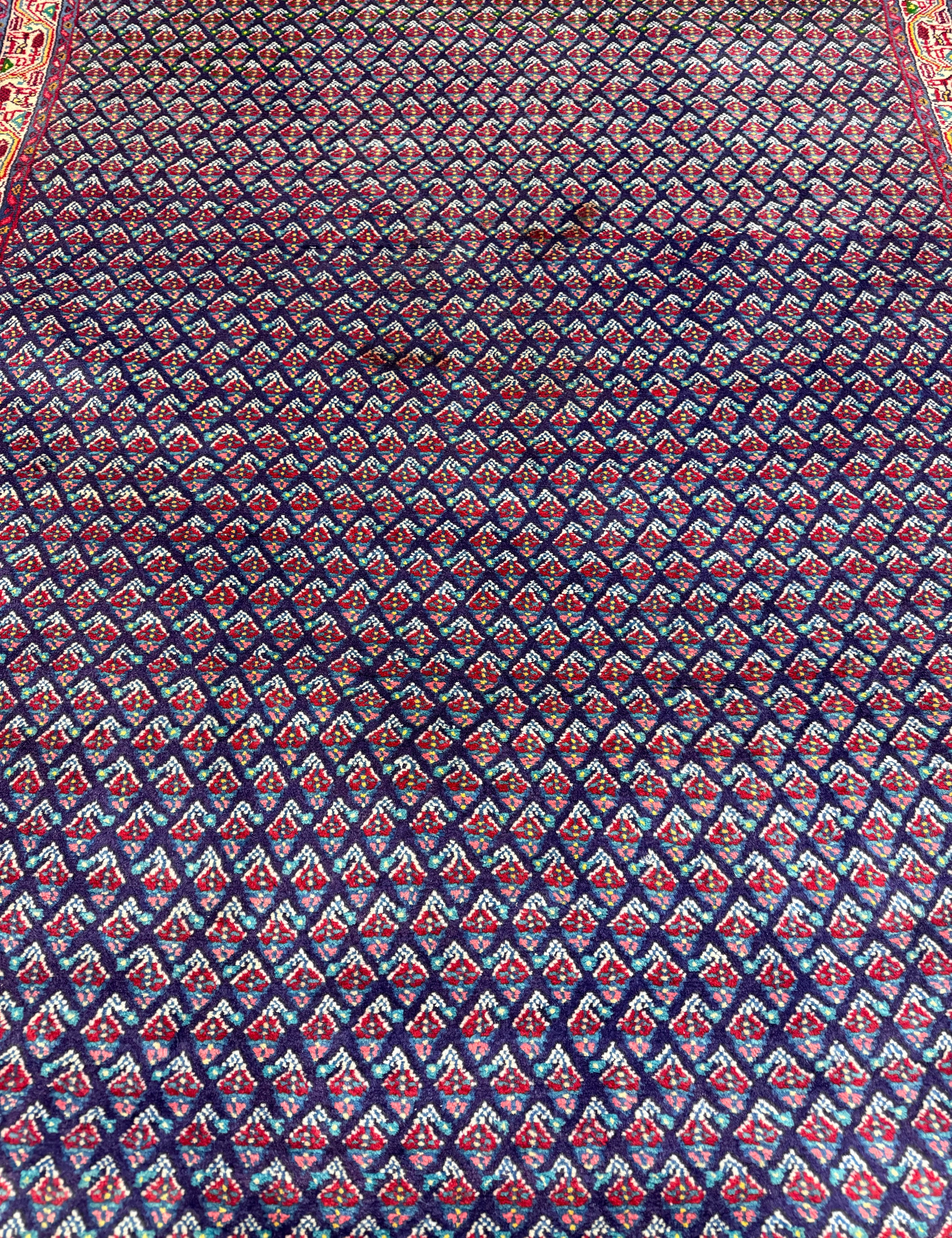 Vintage Sarabend Rug — Fine Allover Pattern with Red Borders. Original rug photograph; SKU RR30661; source RR 30661 IMG_6970.