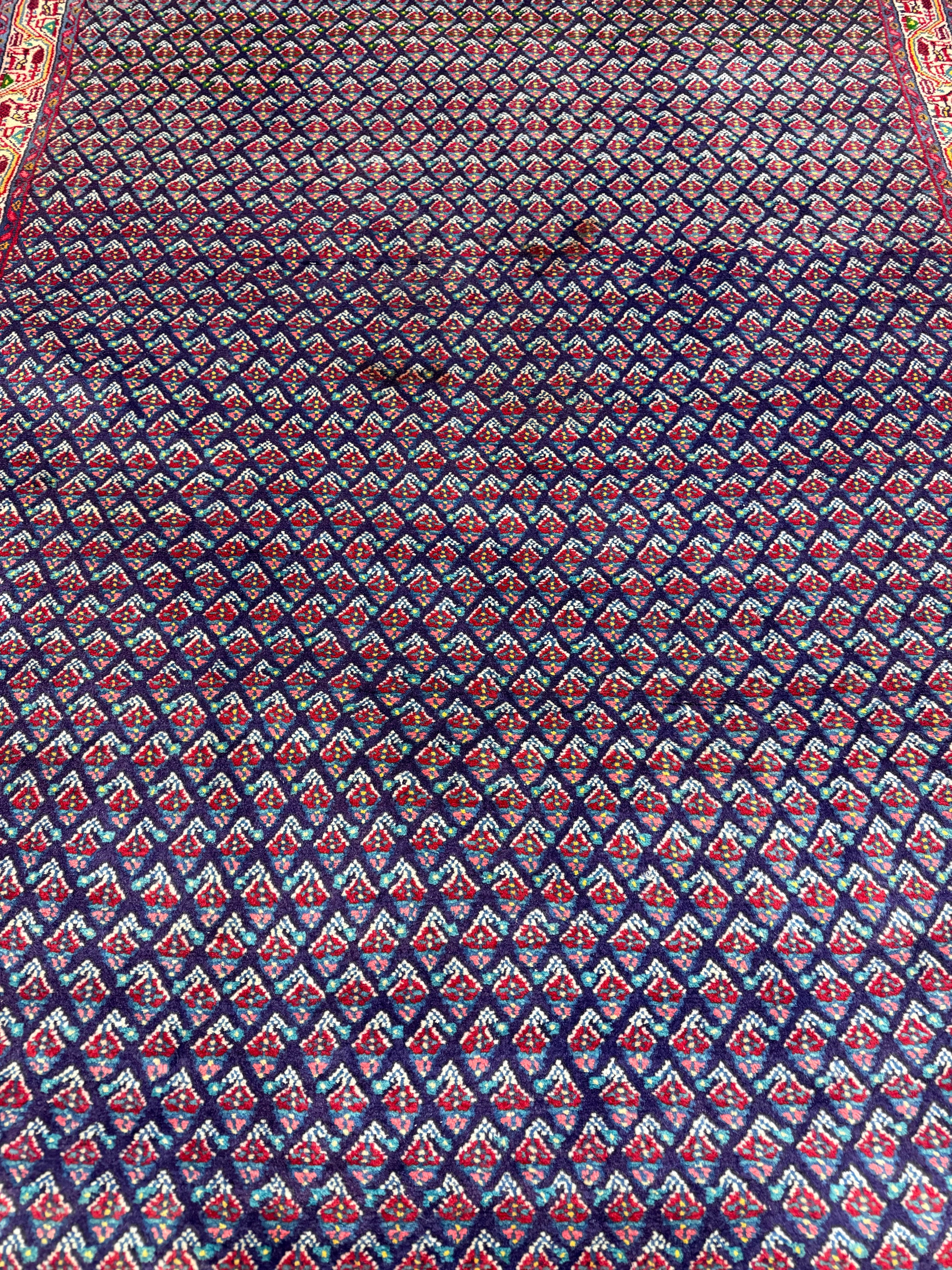 Vintage Sarabend Rug — Fine Allover Pattern with Red Borders. Original rug photograph; SKU RR30661; source RR 30661 IMG_6970.