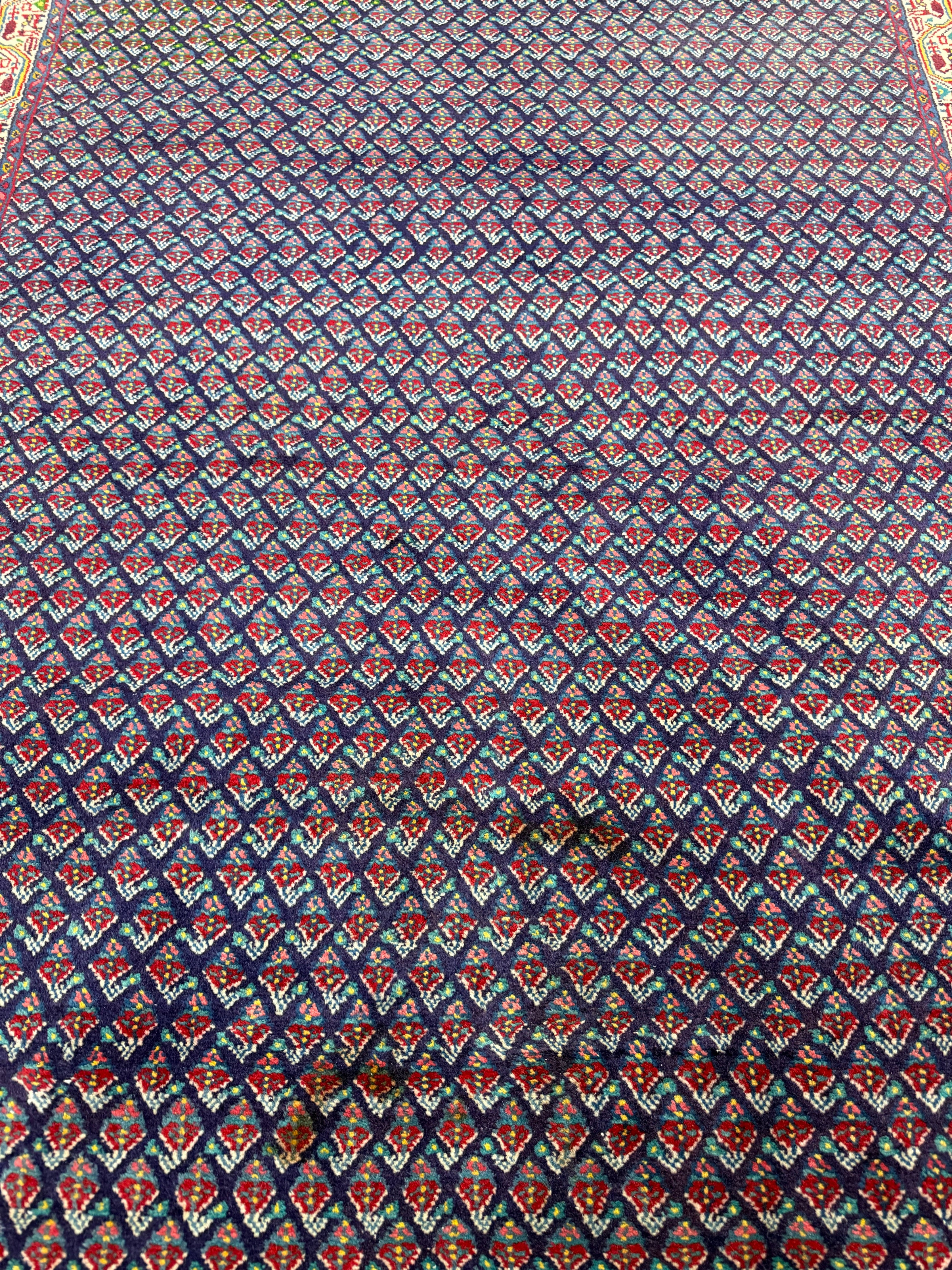Vintage Sarabend Rug — Fine Allover Pattern with Red Borders. Original rug photograph; SKU RR30661; source RR 30661 IMG_6980.