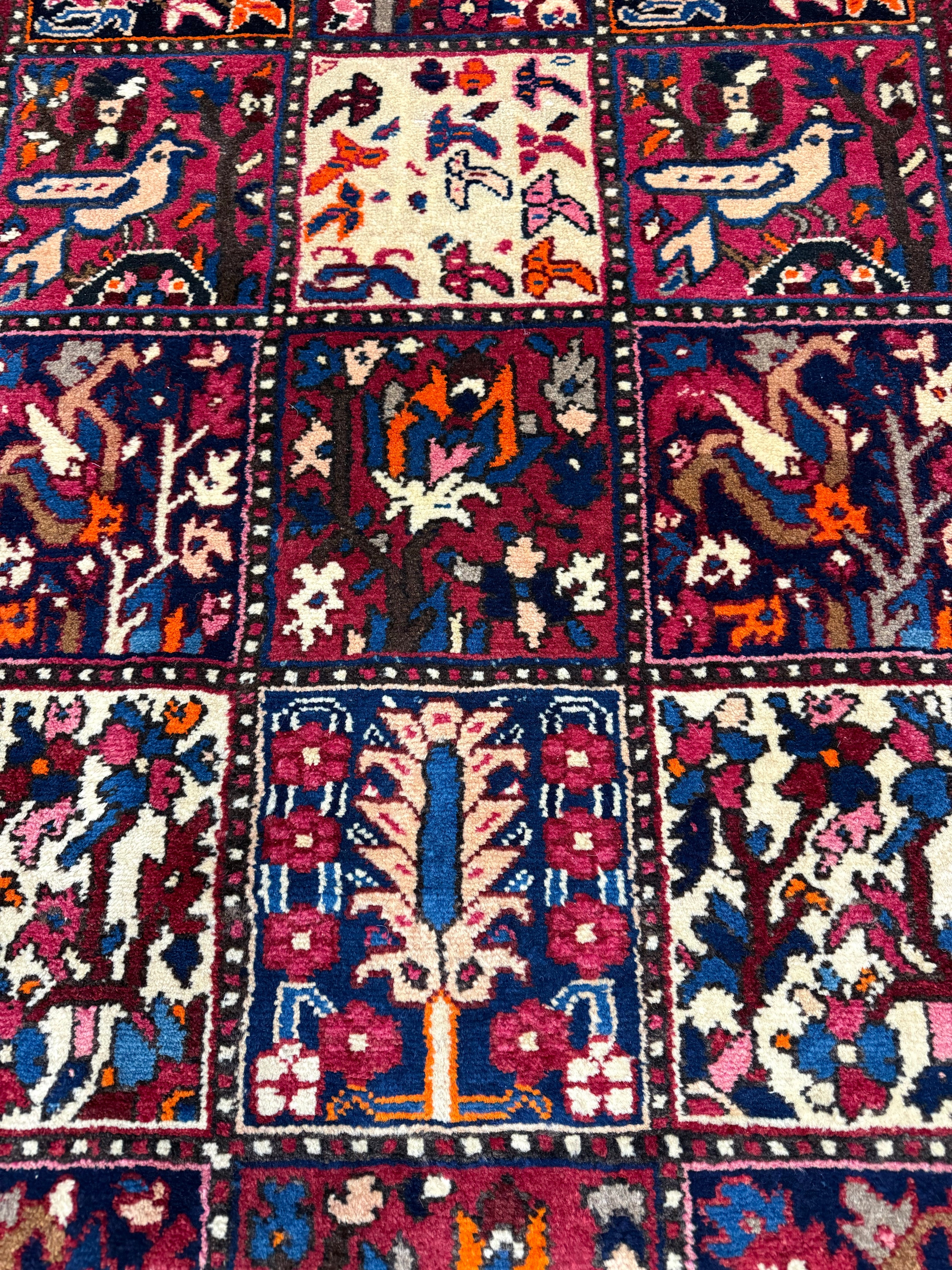 Persian Chaleshtor Bakhtiari Runner. Original rug photograph; SKU RR32333; source IMG_7594.