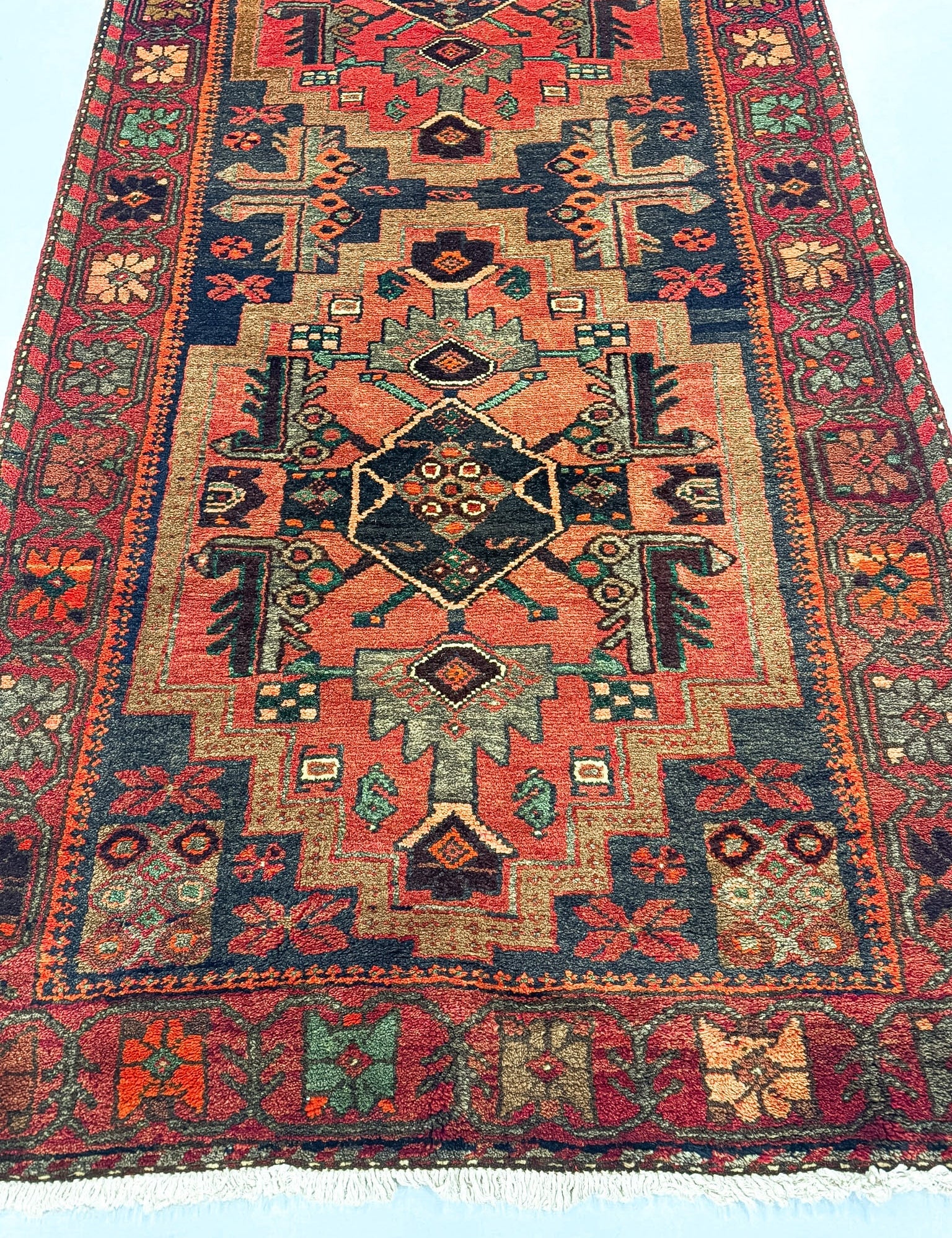 Persian Hamadan Runner Rug | 3' 4" x 10' Rug the Rock