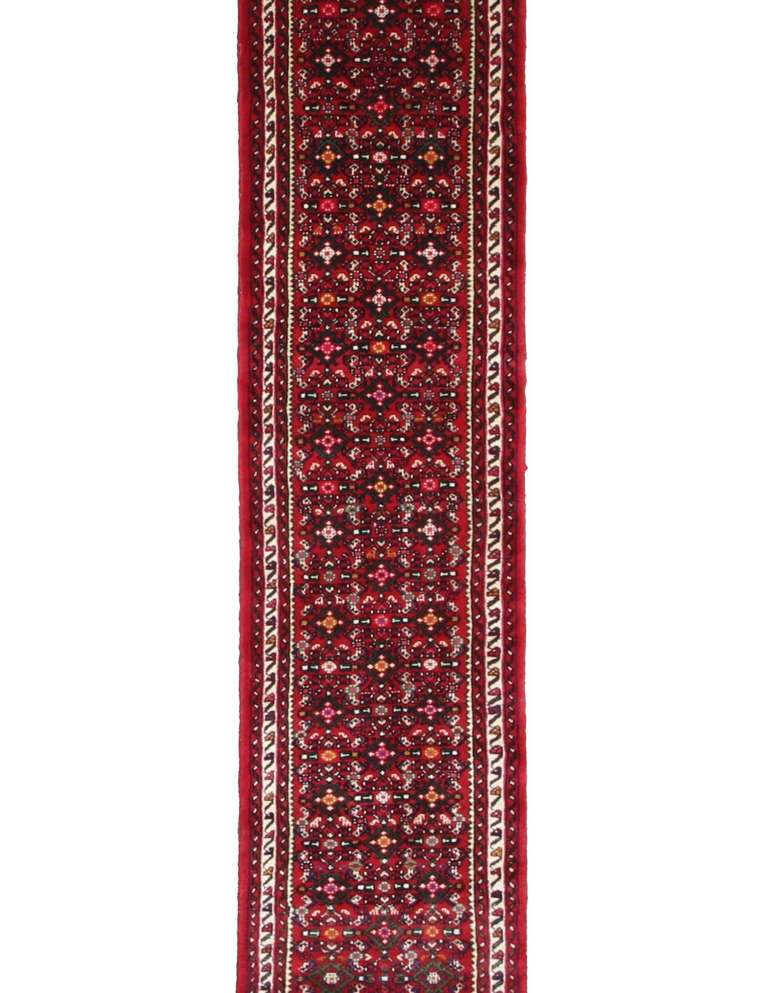 Persian Hosseinabad Hamadan Runner, top view on white background, hand-knotted wool pile. SKU RR 32337.
