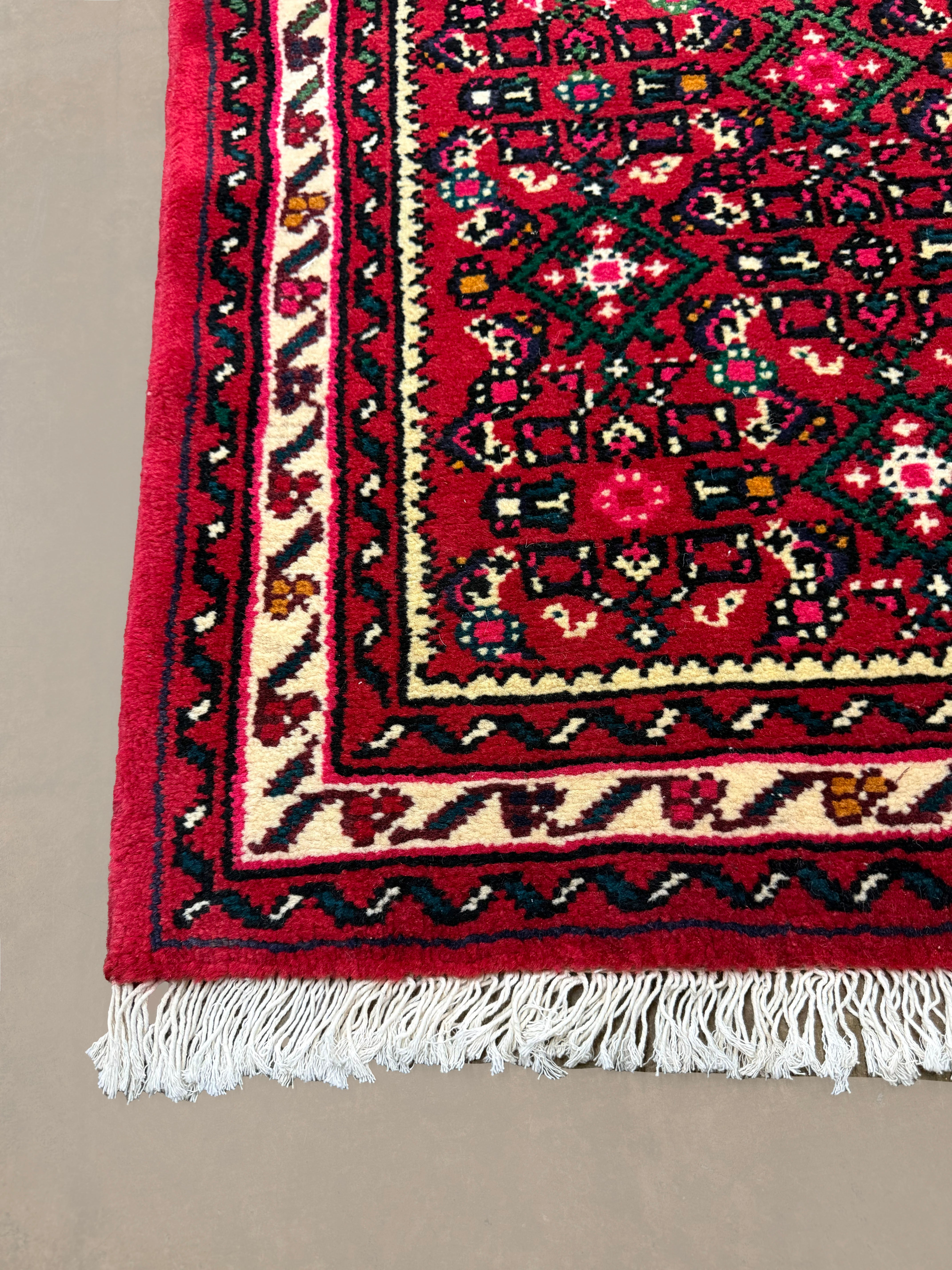 Persian Hosseinabad Hamadan Runner, border and fringe detail, hand-knotted wool pile. SKU RR 32337.