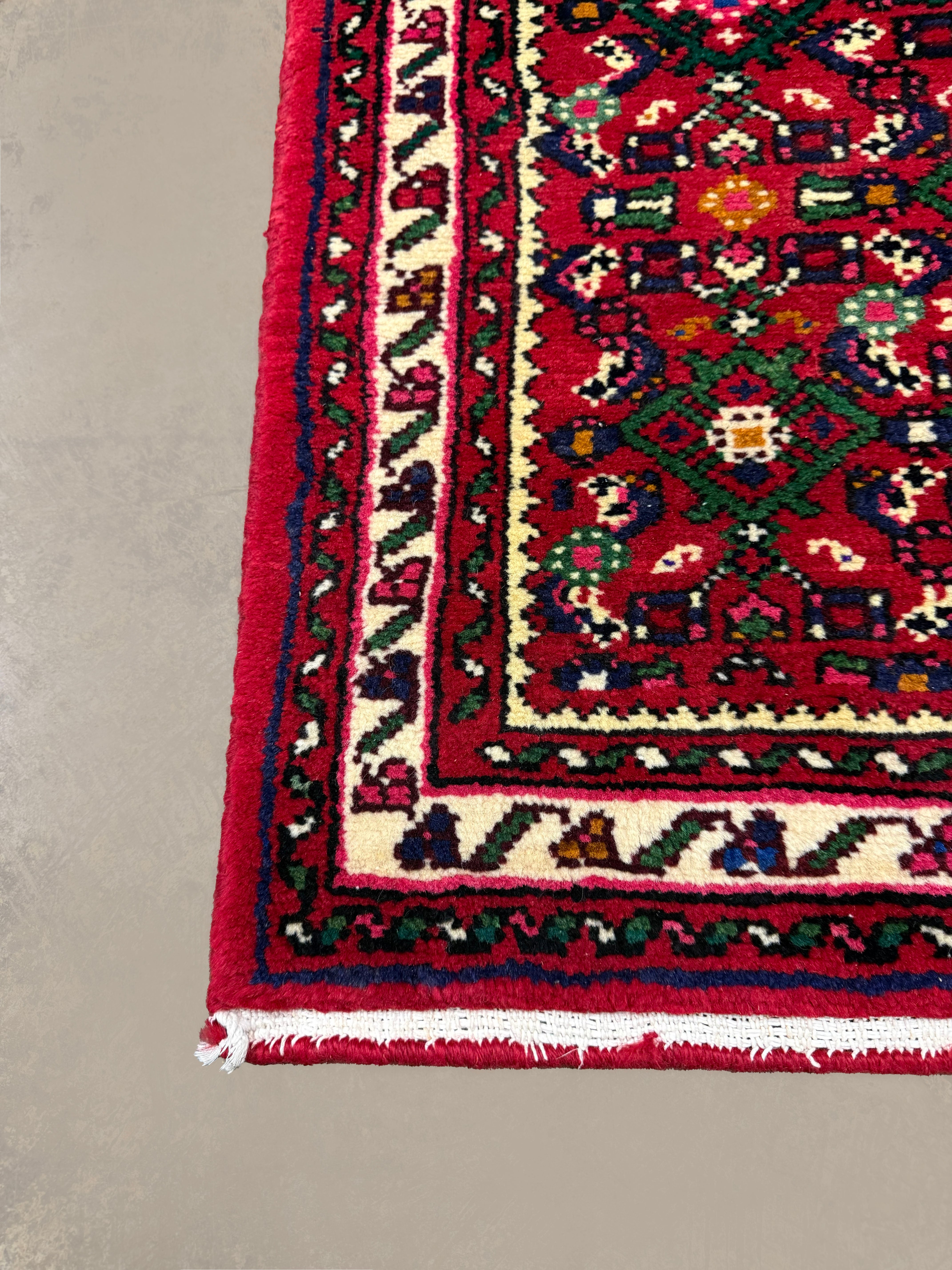 Persian Hosseinabad Hamadan Runner, border and fringe detail, hand-knotted wool pile. SKU RR 32337.