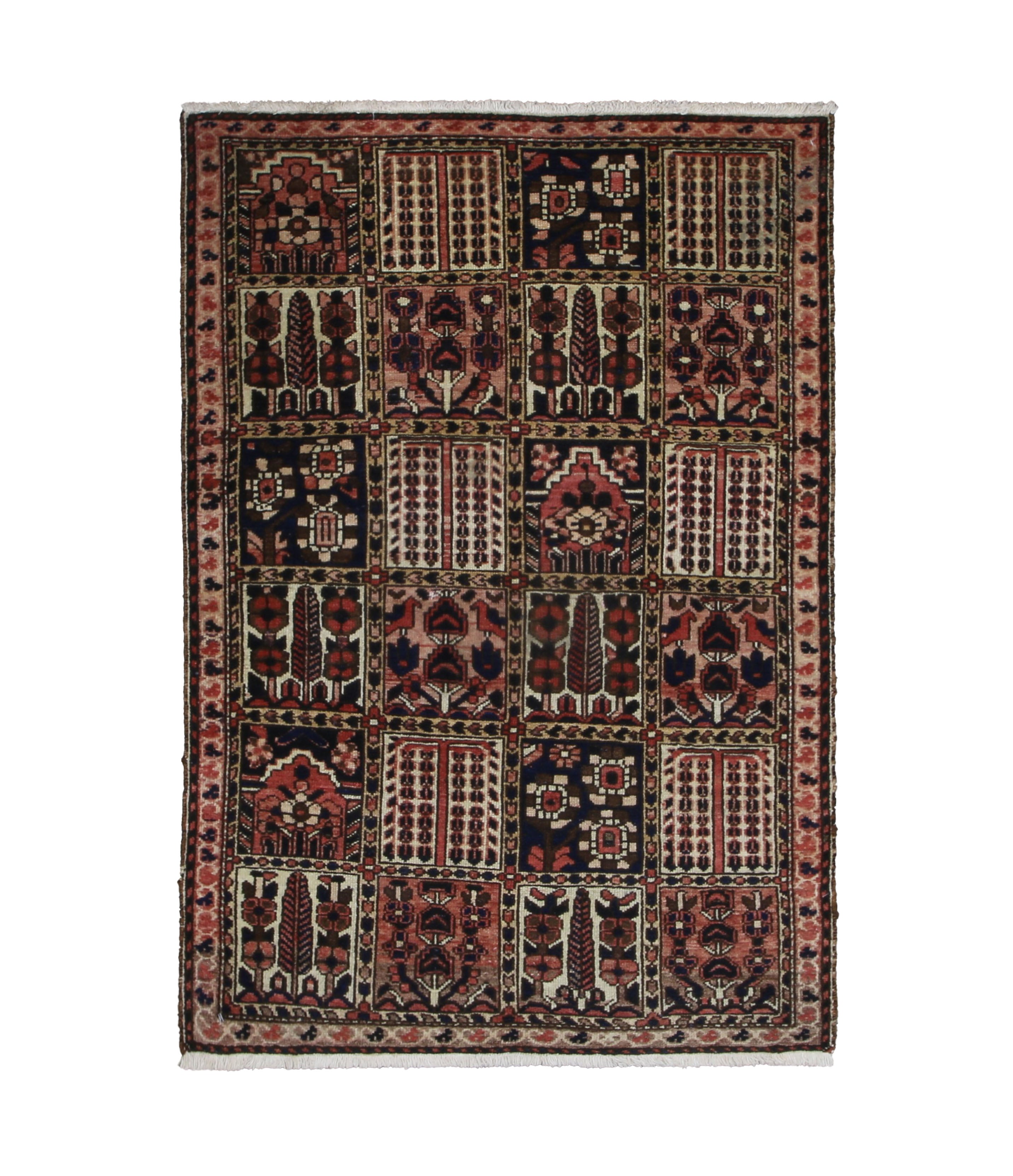 Persian Shalamzar Bakhtiari Rug, top view on white background, hand-knotted wool with red colouring. SKU RR 32416.