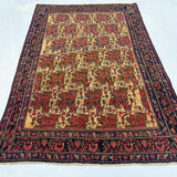 Persian Sirjan Rug | 5' 2" x 7' 5" Rug the Rock