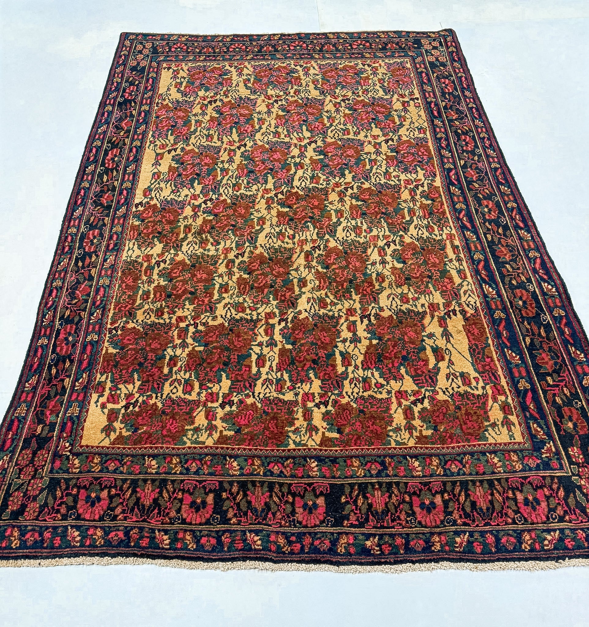 Persian Sirjan Rug | 5' 2" x 7' 5" Rug the Rock