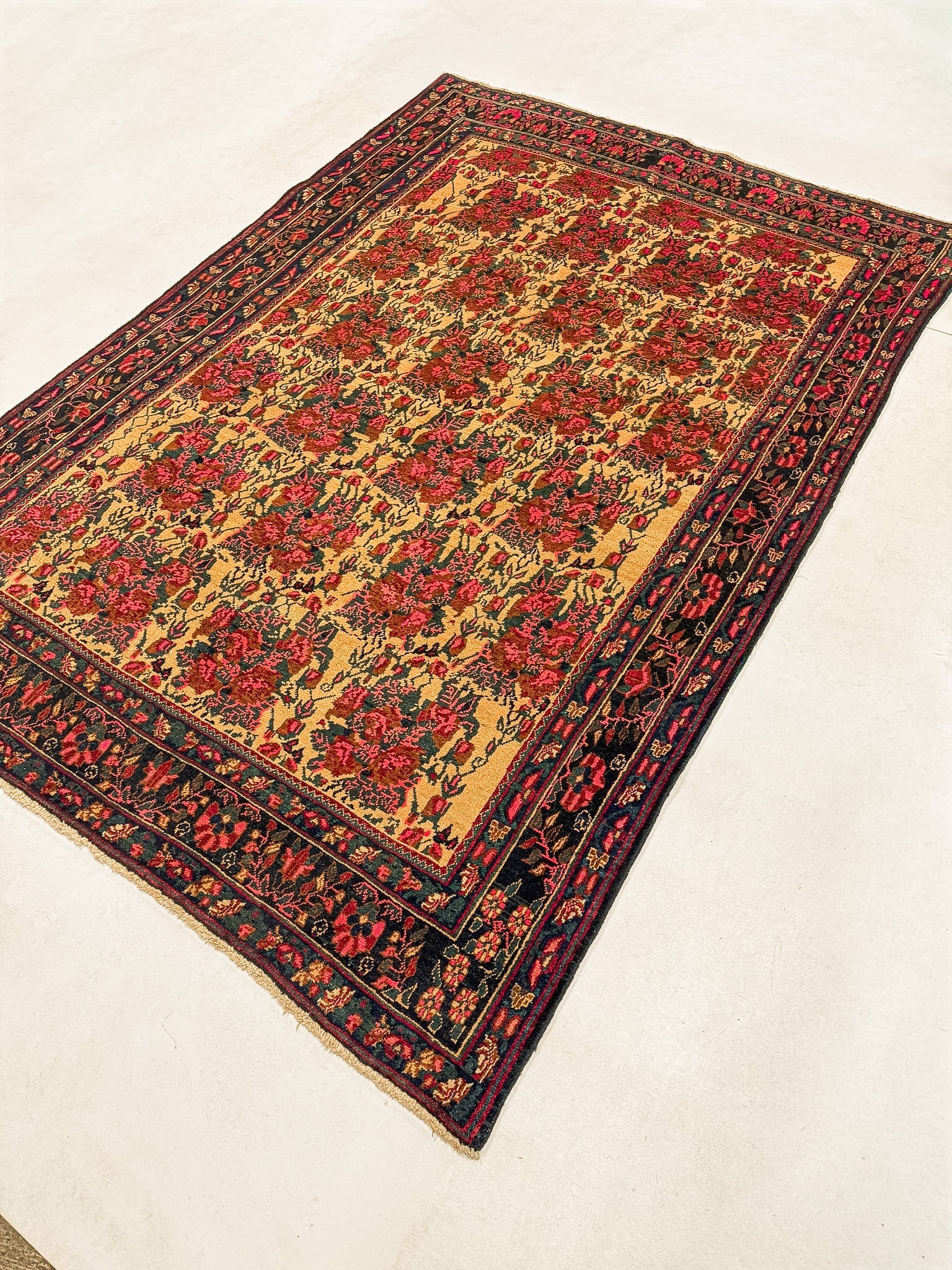 Persian Sirjan Rug | 5' 2" x 7' 5" Rug the Rock