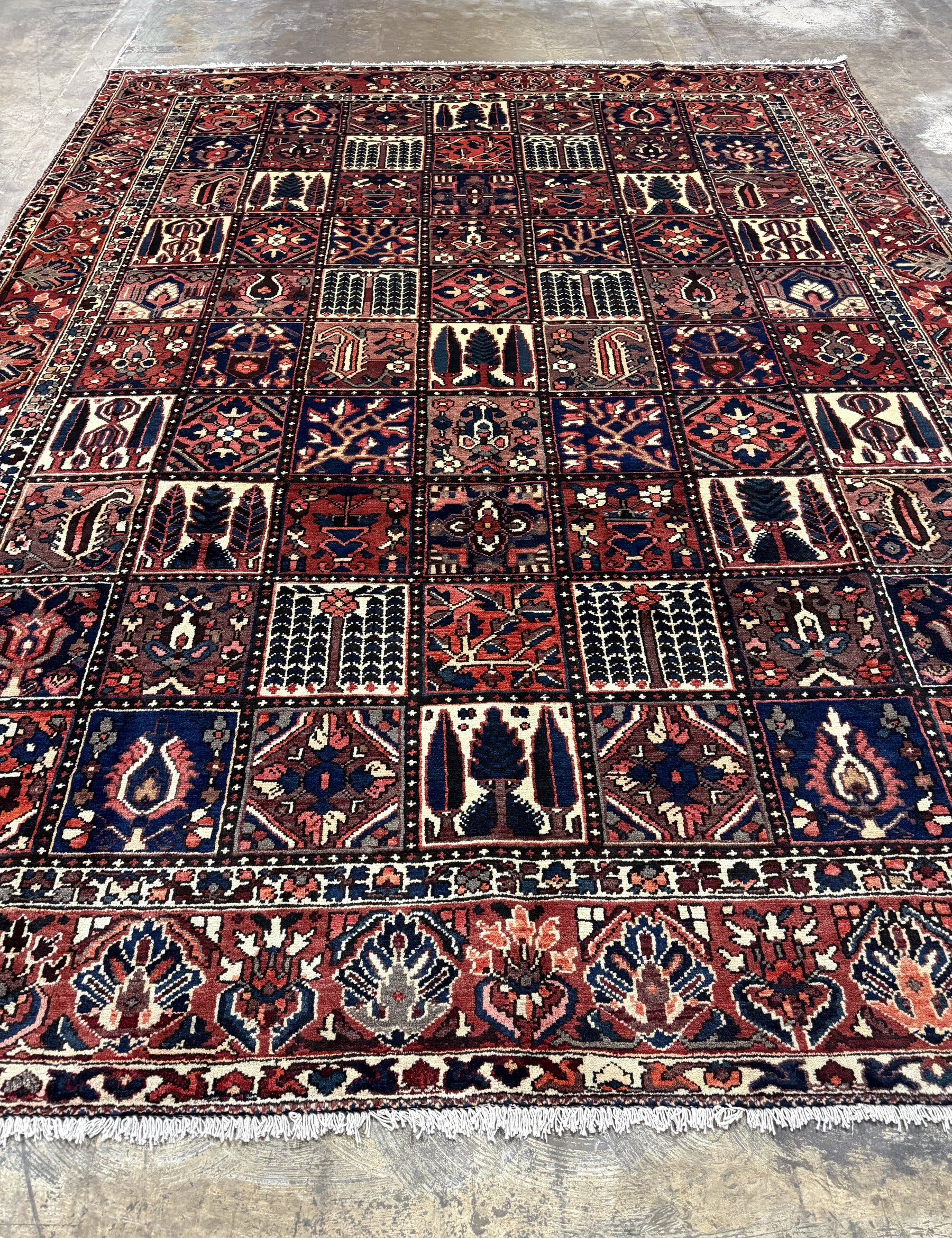 Bakhtiari Persian rug wide view with red, navy, cream and repeating niche motifs