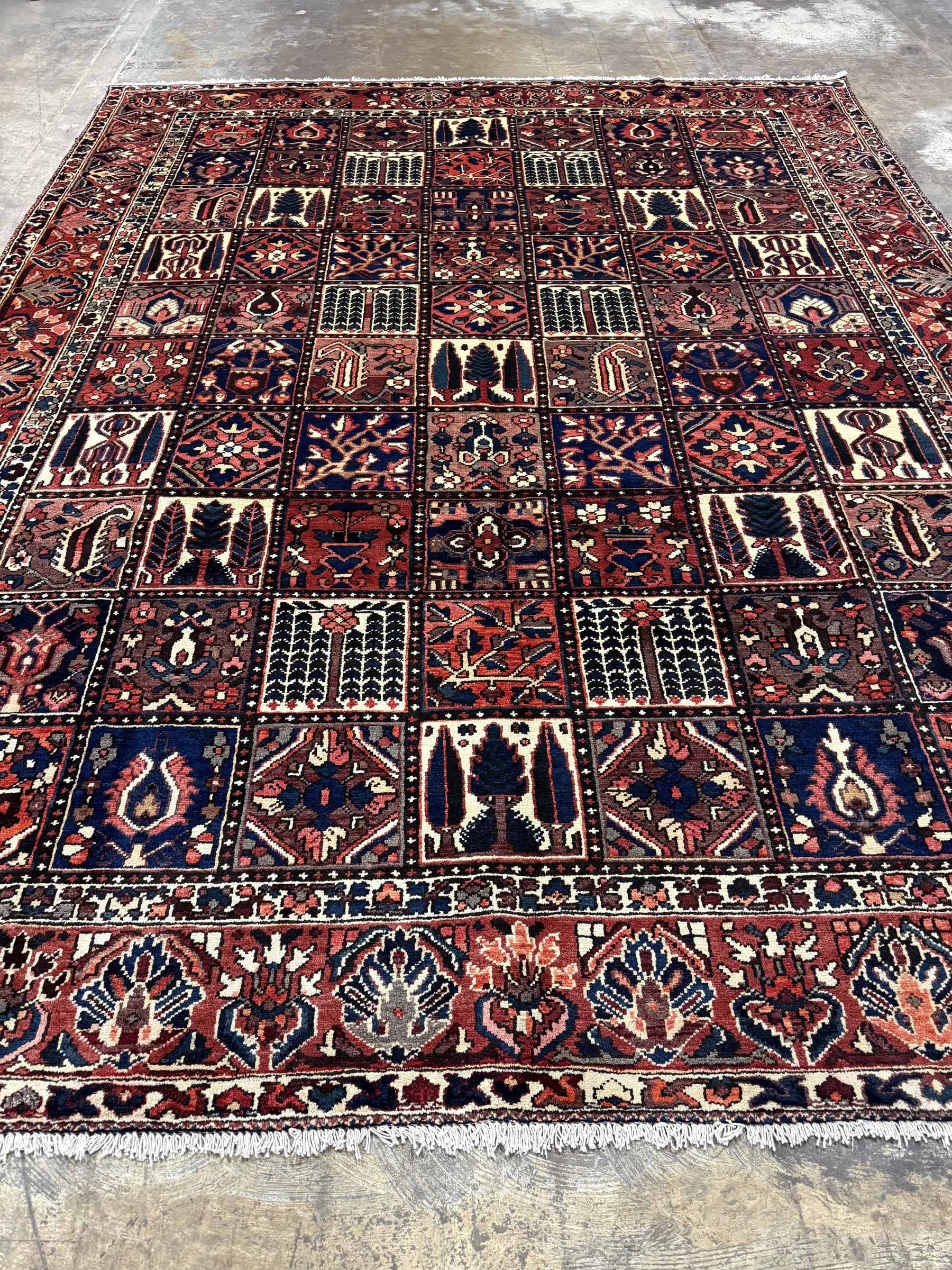 Bakhtiari Persian rug wide view with red, navy, cream and repeating niche motifs