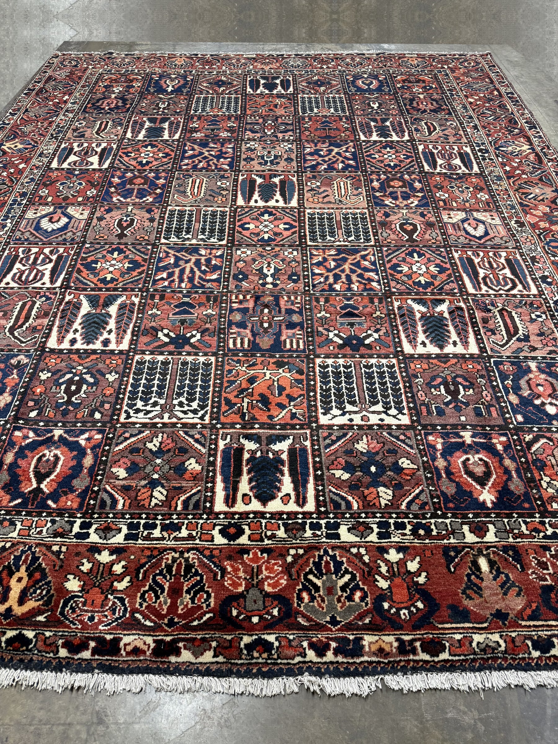 Bakhtiari Persian rug full view with red, navy, cream geometric layout and border