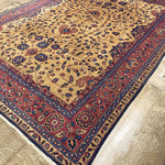 Turkish Rug | 9' x 11' 9" Rug the Rock