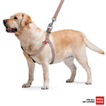 Brown Cotton Dog Harness Eco Friendly Adjustable for Large Dogs L Size 2735 in Rug the Rock