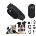Pet Collar Camera Rug the Rock