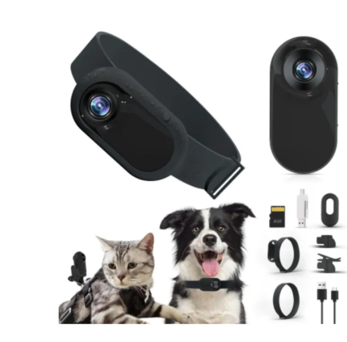 Pet Collar Camera Rug the Rock