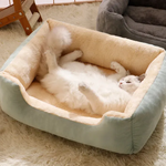 All-in-One Cat and Dog Bed Rug the Rock
