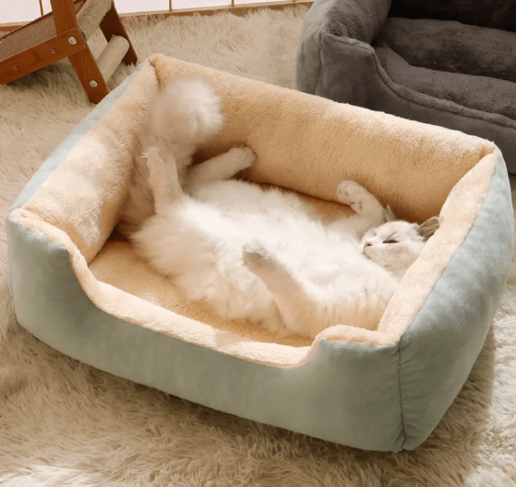 All-in-One Cat and Dog Bed - Rug the Rock -