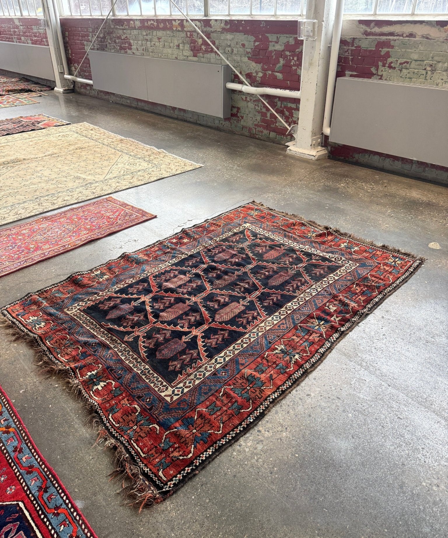 Antique Persian-style rugs on floor display, showing a navy and red geometric center panel