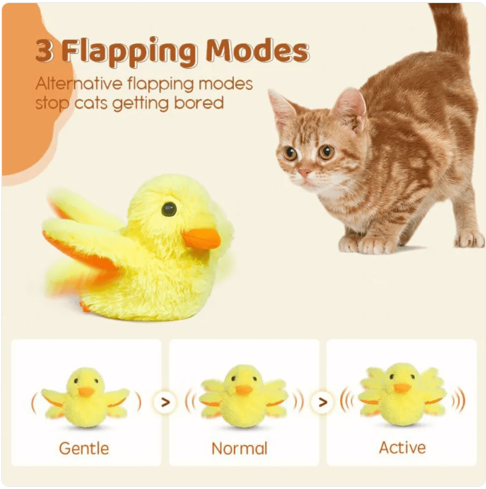 Automatic Electric Duck Cat Toy - Rug the Rock -