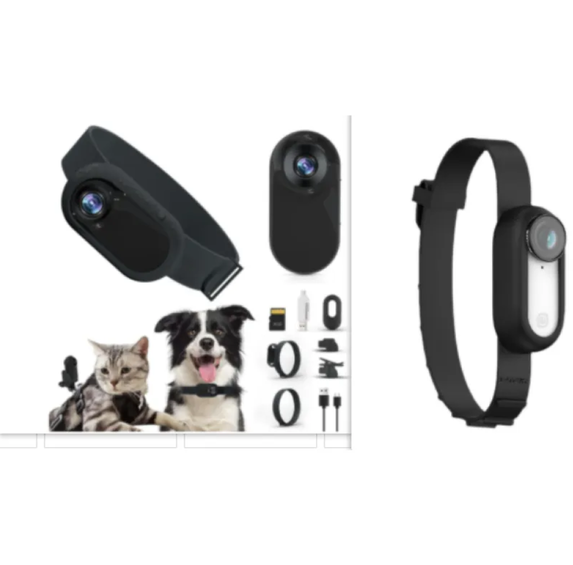 Pet Collar Camera Rug the Rock