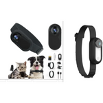 Pet Collar Camera Rug the Rock
