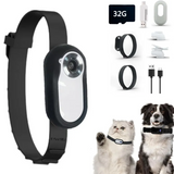 Pet Collar Camera Rug the Rock