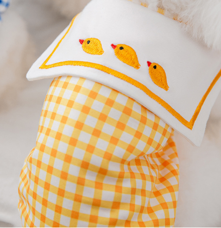 Cat Shirts for Small and Medium Dogs Pet Clothing Rug the Rock