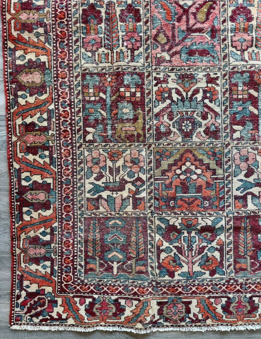 Perisan Bakhtiari Rug | 5' 1" x 9' 5" - Rug the Rock