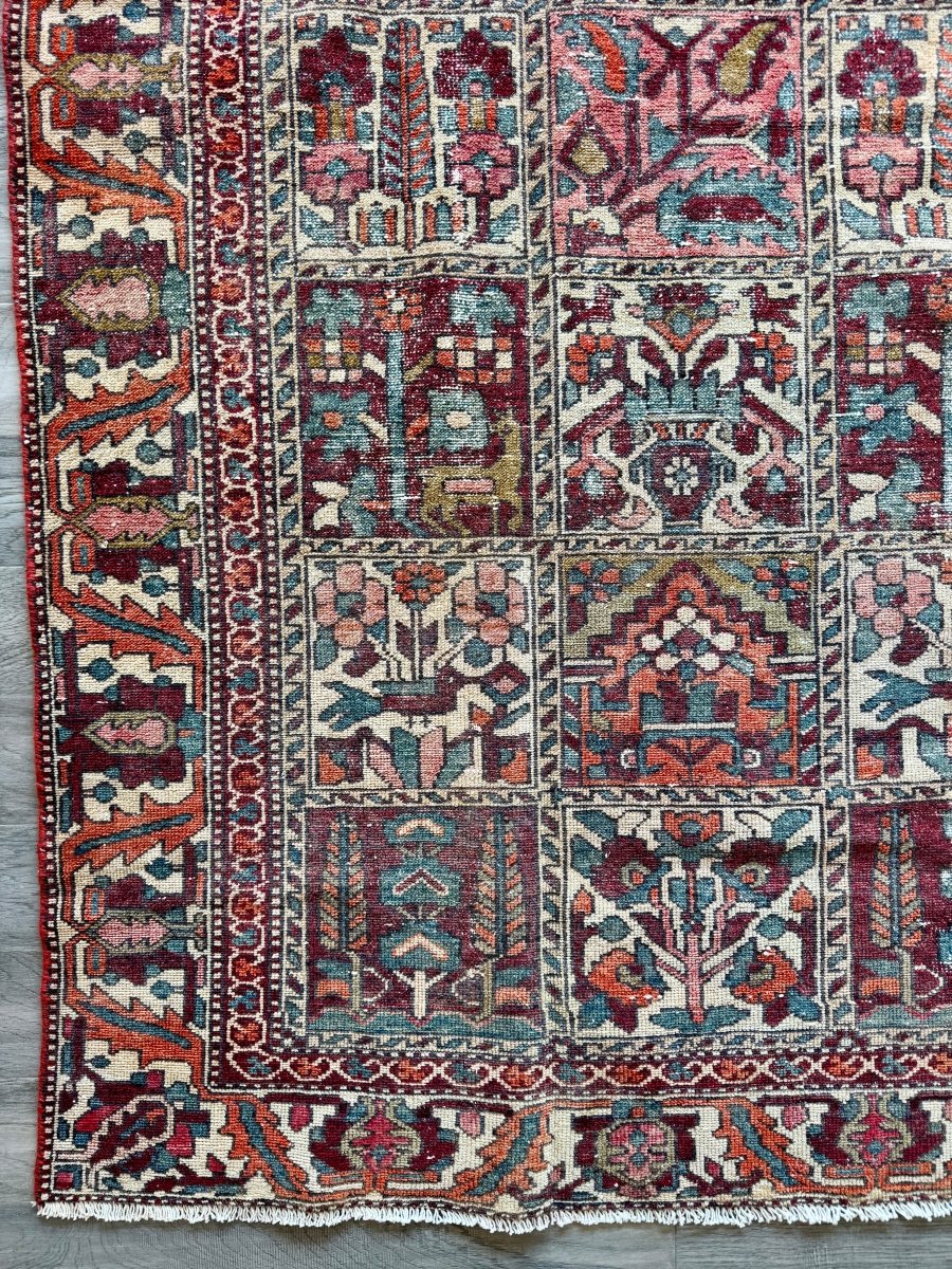 Perisan Bakhtiari Rug | 5' 1" x 9' 5" - Rug the Rock