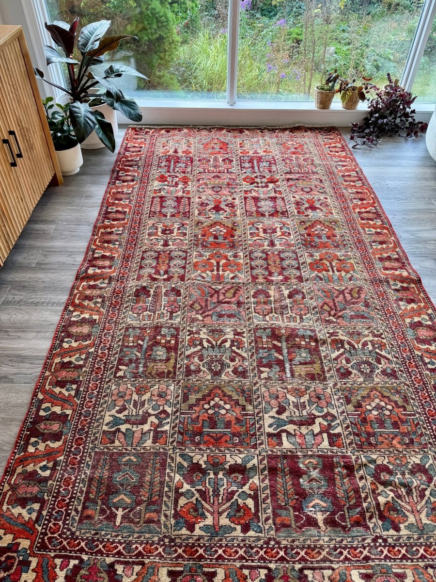 Perisan Bakhtiari Rug | 5' 1" x 9' 5" - Rug the Rock