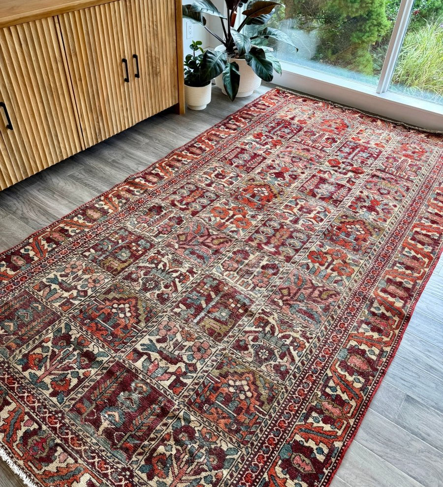 Perisan Bakhtiari Rug | 5' 1" x 9' 5" - Rug the Rock