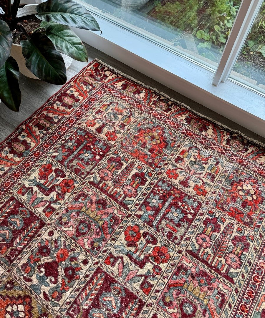 Perisan Bakhtiari rug angled on floor near window, red and cream with dark blue motifs.