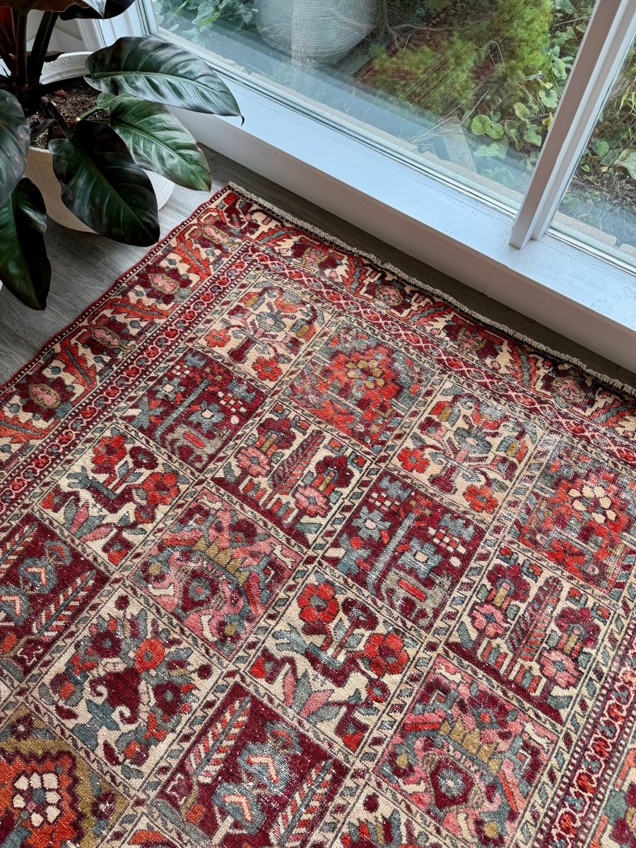 Perisan Bakhtiari Rug | 5' 1" x 9' 5" - Rug the Rock