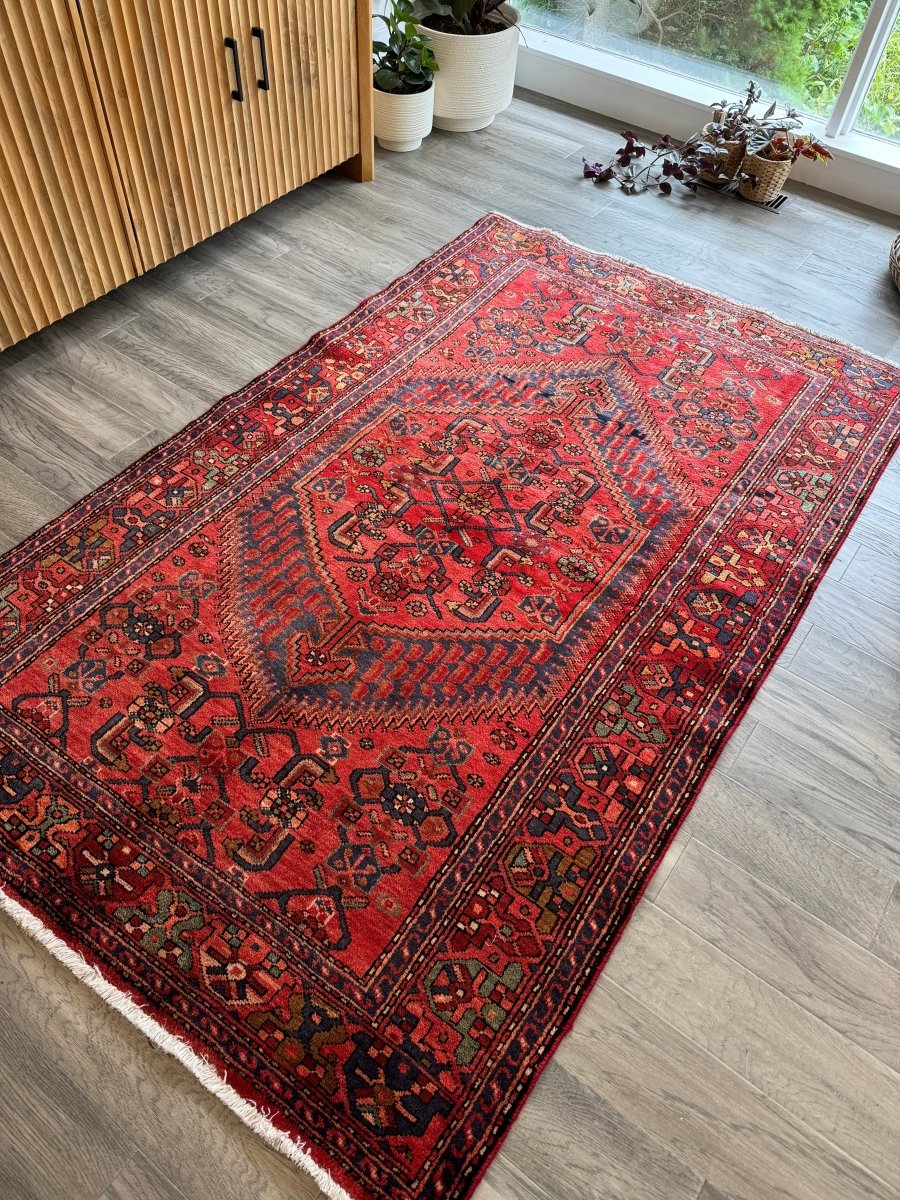 Perisan Zanjan Rug | 4' 1" x 6' 8" - Rug the Rock