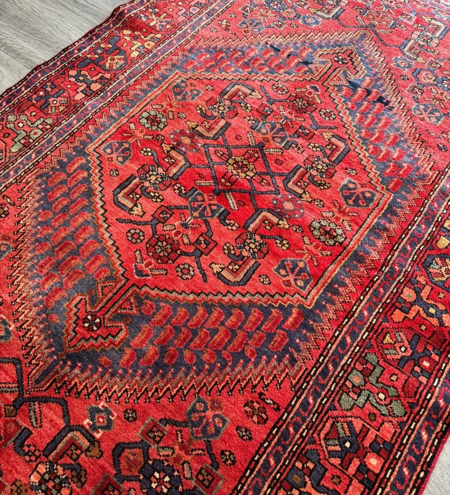 Perisan Zanjan Rug | 4' 1" x 6' 8" - Rug the Rock