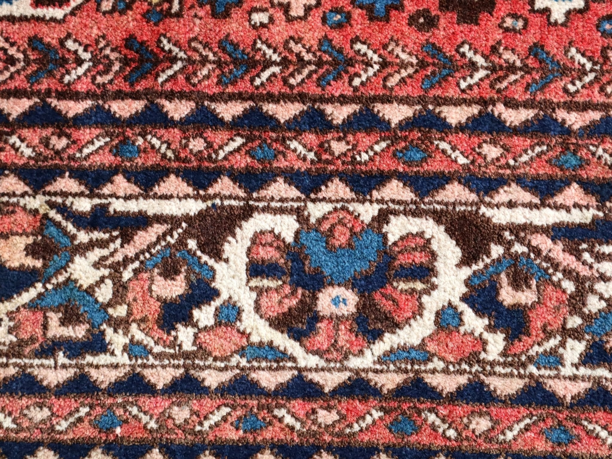 Persian-style rug close-up of blue and rust vine-like motifs and border stripe.