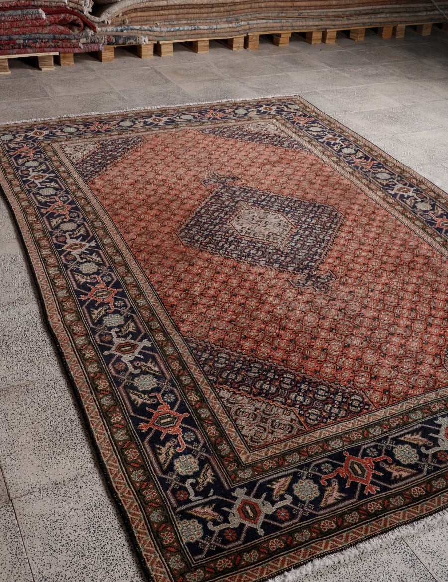 Persian Ardabil Rug | 6' 3” x 9' 5" - Rug the Rock - 