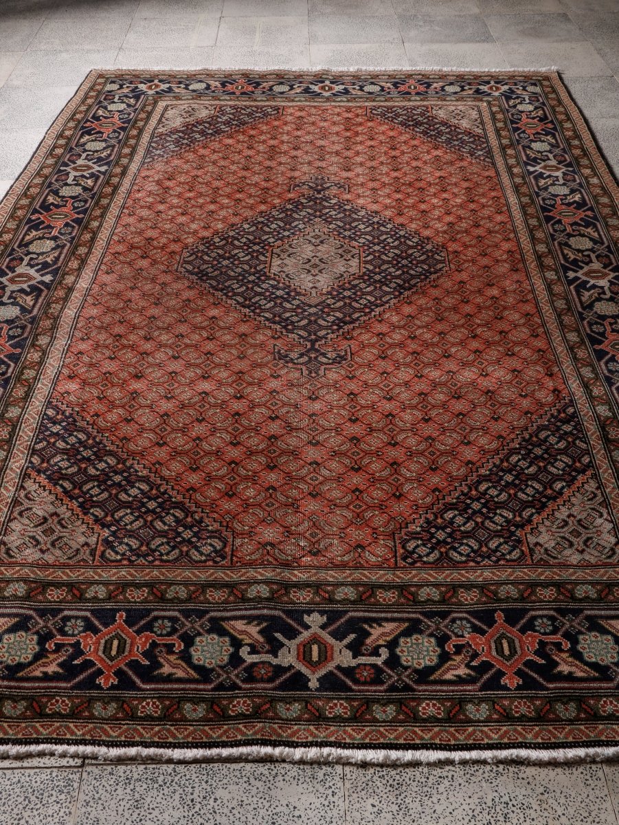 Persian Ardabil Rug | 6' 3” x 9' 5" - Rug the Rock - 