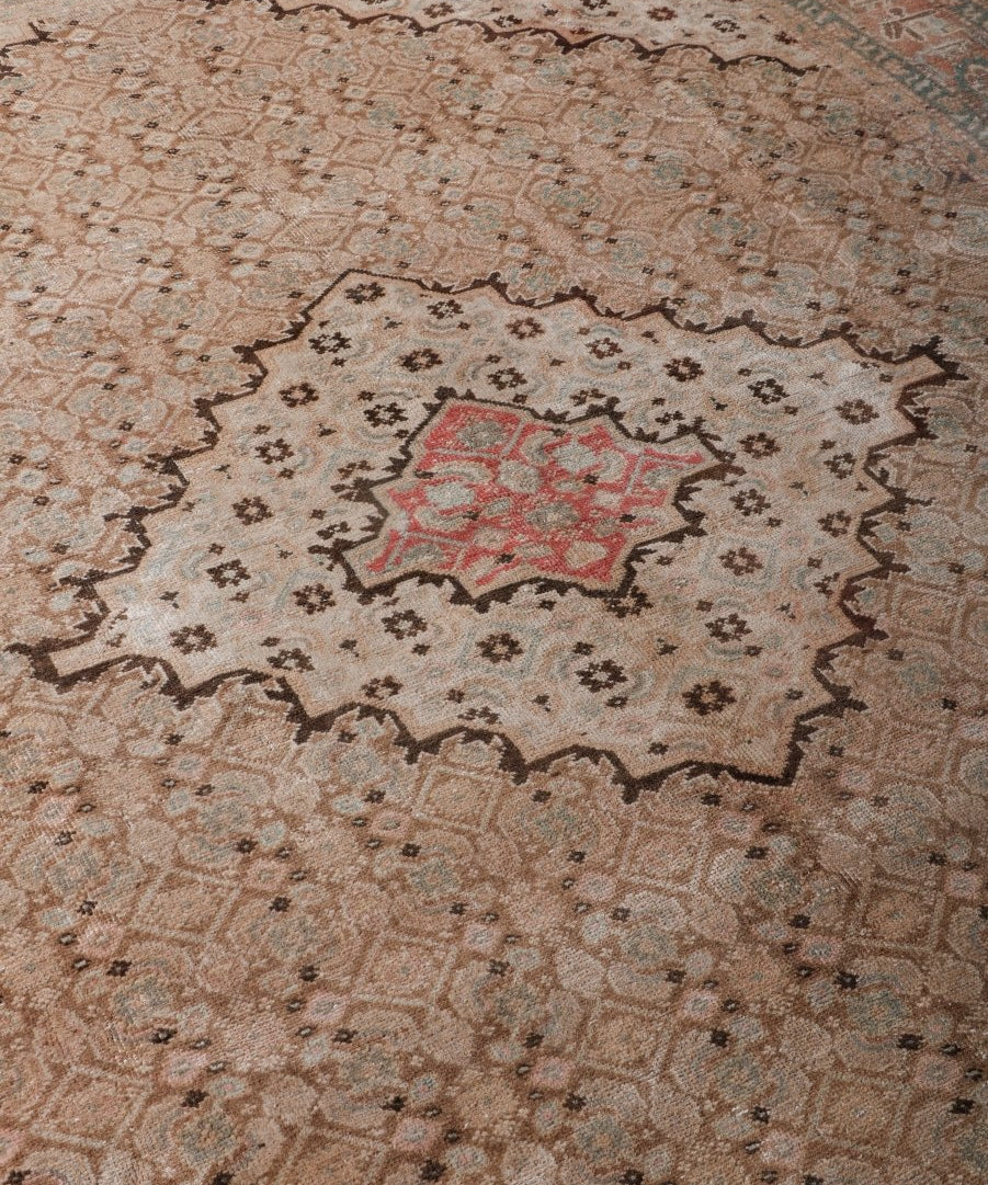 Beige rug surface with red central medallion, dark vignette border, and intricate floral geometry
