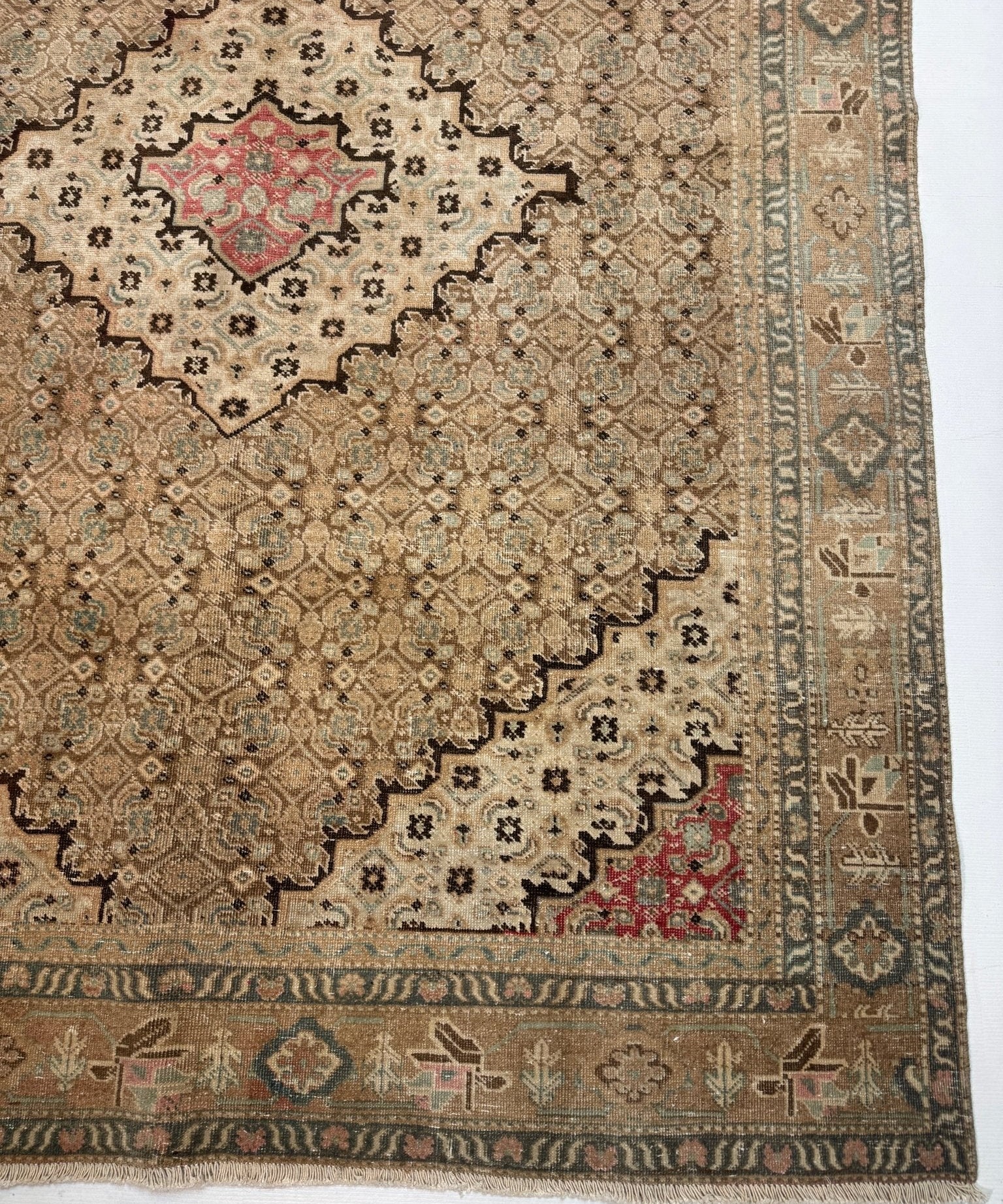 Persian Ardabil rug corner with red center medallion, geometric motifs, fringe edge.