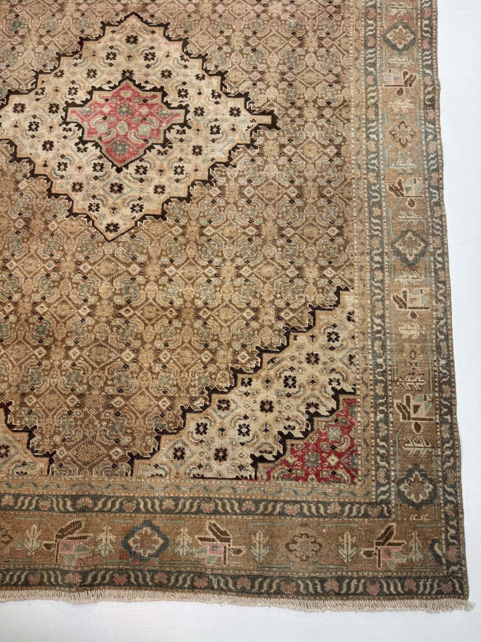 Persian Ardabil Rug | 6' 6” x 8' 11" - Rug the Rock - 