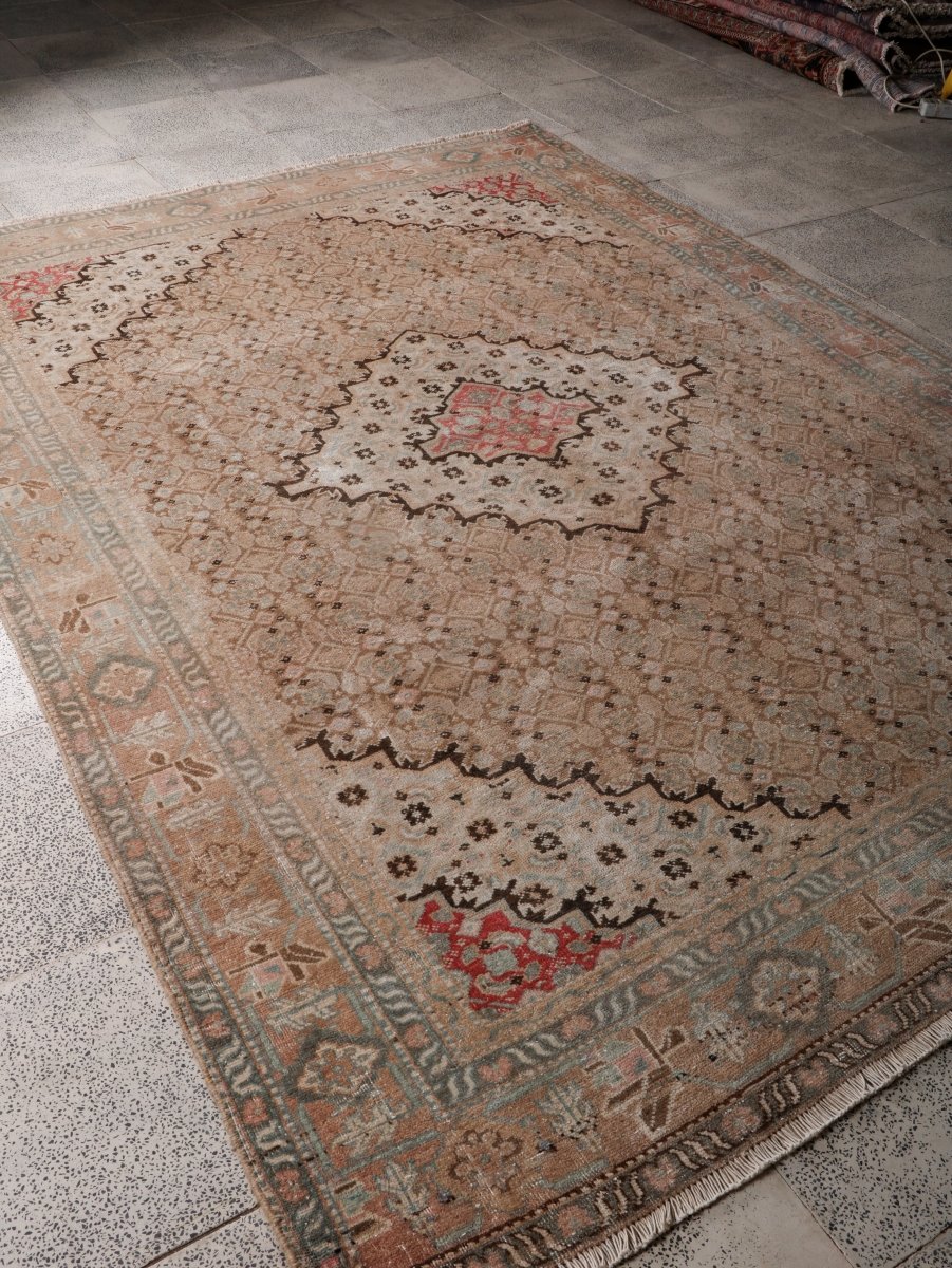 Persian Ardabil Rug | 6' 6” x 8' 11" - Rug the Rock - 